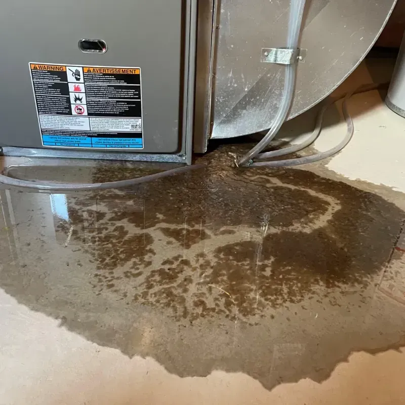 Appliance Leak Cleanup in Middlesboro, KY